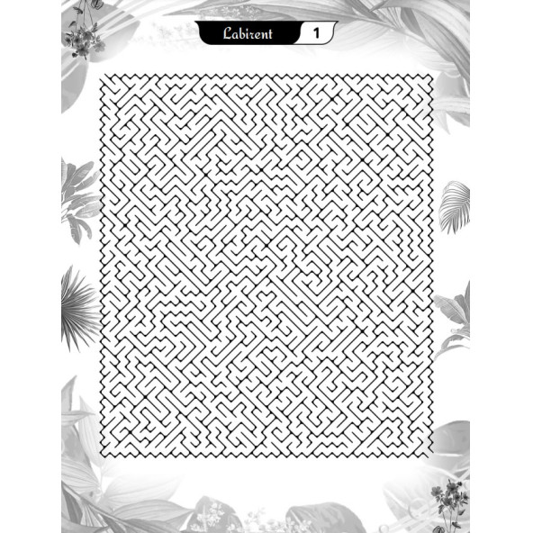 Süper Ötesi Labirent Bulmaca Kitap Seti (3 Süper Kitap) - Resim 2