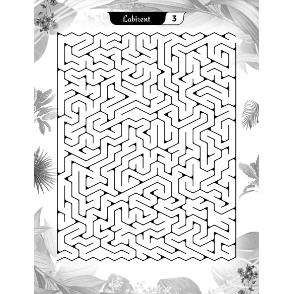 Süper Ötesi Labirent Bulmaca Kitap Seti (3 Süper Kitap) - Resim 3