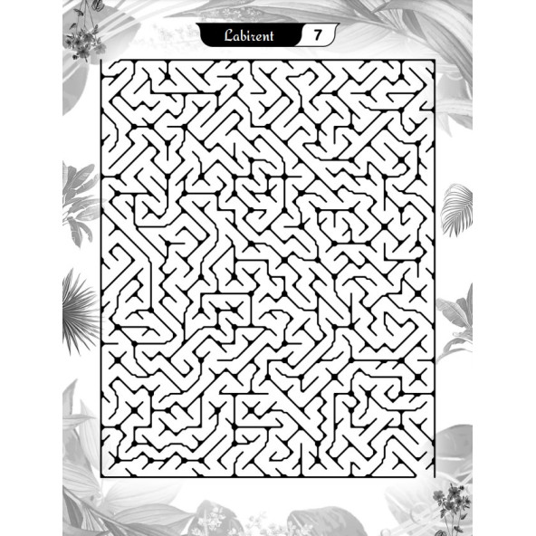 Süper Ötesi Labirent Bulmaca Kitap Seti (3 Süper Kitap) - Resim 4