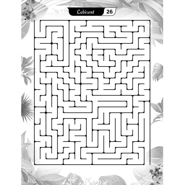 Süper Ötesi Labirent Bulmaca Kitap Seti (3 Süper Kitap) - Resim 5