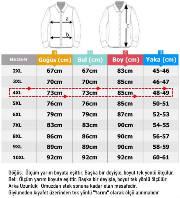 Büyük Beden Hakim Yaka Gömlek Uzun Kol - 4