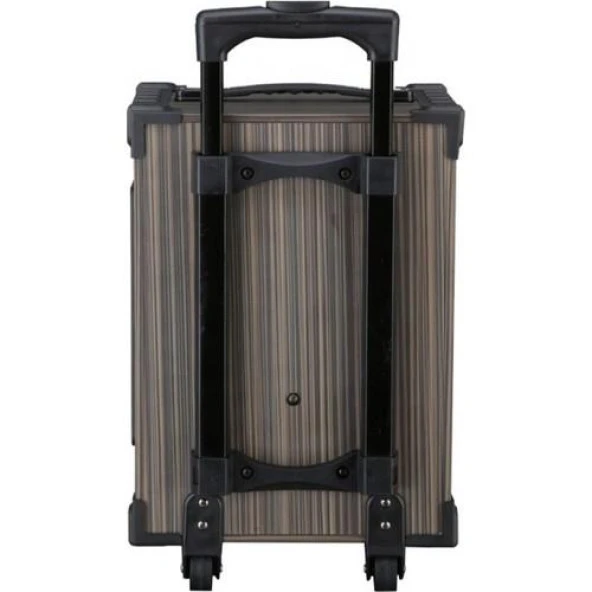 Torima LT-910 Kablosuz 2 Mikrofonlu Kablosuz Hoparlör - Resim 2