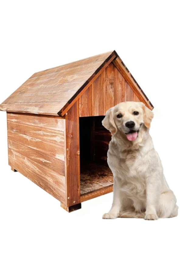 Orta Boy Irk Köpekler Için Doğal Ahşap Kulübe Dış Mekan Köpek Evi - 2