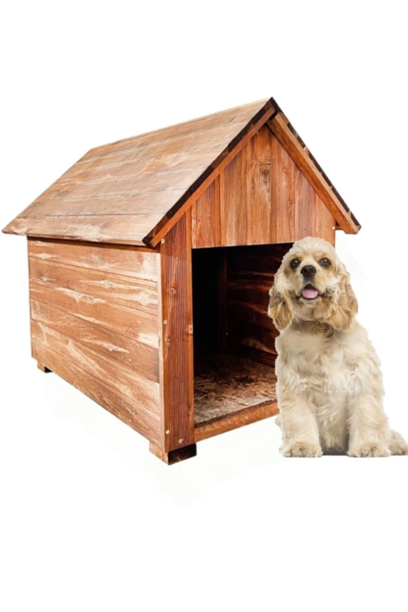 Küçük Irk Köpekler Için Doğal Ahşap Kulübe Dış Mekan Köpek Evi Kedi Evi - 2