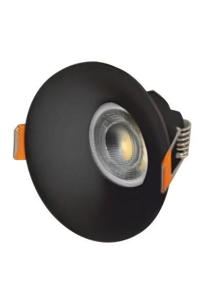 CT-5091 LİON YUVARLAK SİYAH SPOT (AMPULSUZ) CATA - 1