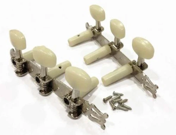 Gitar Aksesuar Klasik Burgu Takımı CGTG ürün görseli