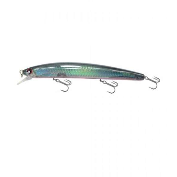 Japanese Minnow HG2546