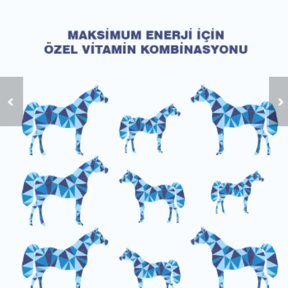 THINK BOOST YARIŞ ATI ENERJİ VİTAMİNİ - 3