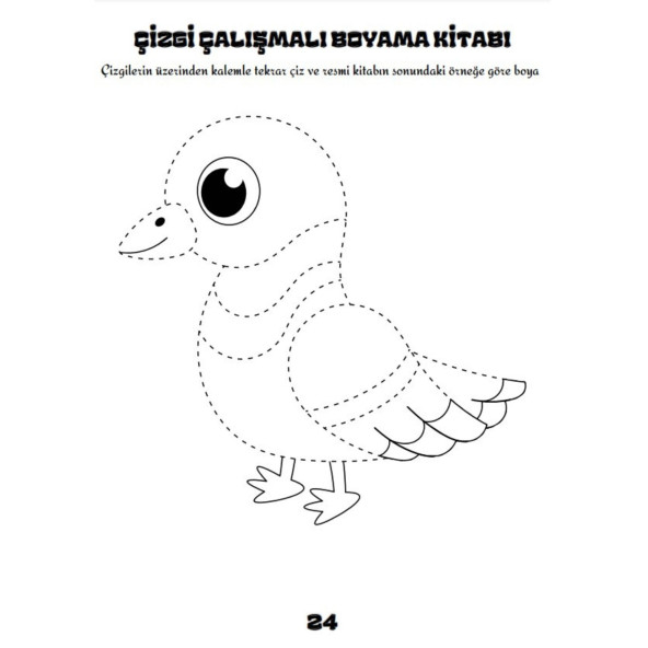 Profesyonel Çizgi Boyama Kitabı (Profesyonel Çizgi Çalışmaları) - 3