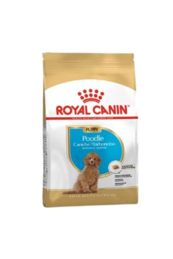 Royal Canin® Puppy Poodle Yavru Köpek Maması 3 Kg