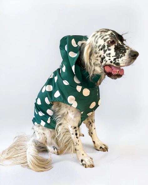 Mega Dots Green Köpek Kapşonlu Yağmurluk Orta ve Büyük Irklar İçin - 3
