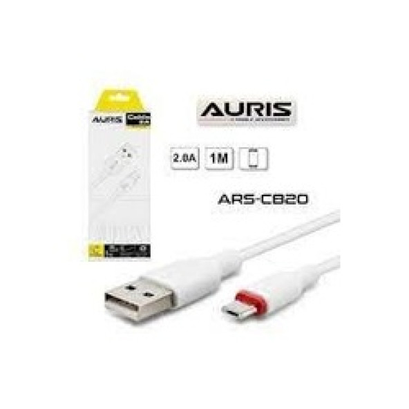 Auris 2A Type-C 1m USB Kablo