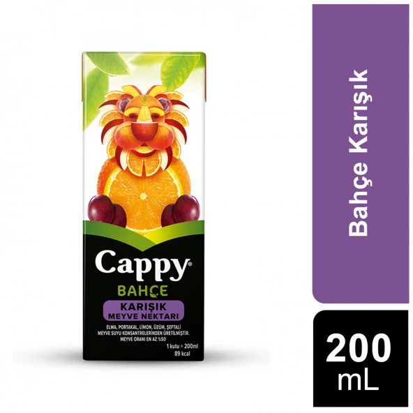 Cappy 200 ml 27'li Paket Karışık Meyve Nektarı
