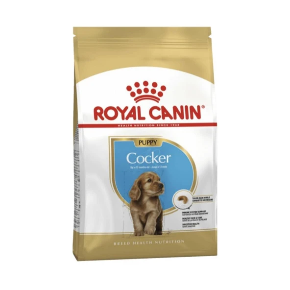 Royal Canin Dog BHN Cocker Junior Yavru Köpek Maması 3kg