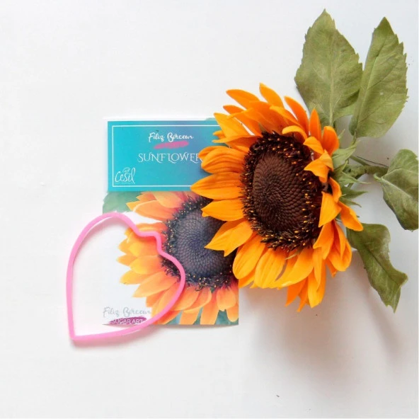 Filiz Bircan Yeni Serisi -AYÇİÇEĞİ YEŞİL YAPRAK KESİCİ SET (SunFlower Green Leaf) / PLASTİK