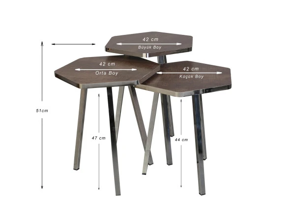 3 LÜ ZİGON SEHPA Vionessa Furniture HEXAGON COFFE TABLE METAL P20 LEGS COVE SILVER AFZ