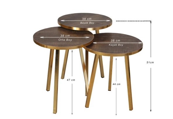 3 LÜ ZİGON SEHPA Vionessa Furniture ROUND COFFE TABLE METAL P20 LEGS COVE GOLD AFZELİA
