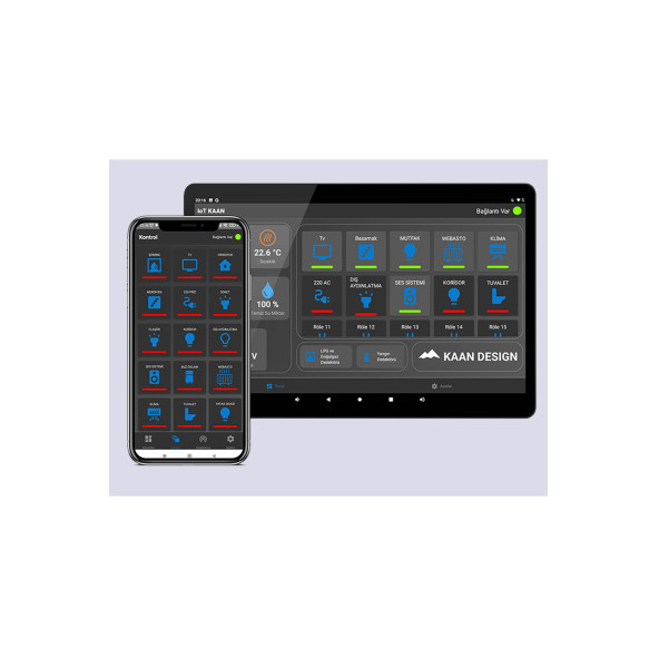 TİNY HOUSE IoT KAAN PRO - 2