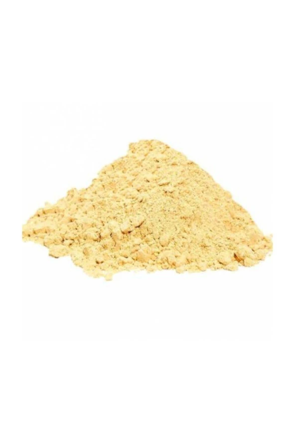 Herbal Vital Zencefil Toz (ginger) (taze Öğütülmüş) 100 Gr