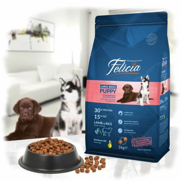 Felicia Yavru Köpek Maması Kuzu Etli Büyük Irk 3kg