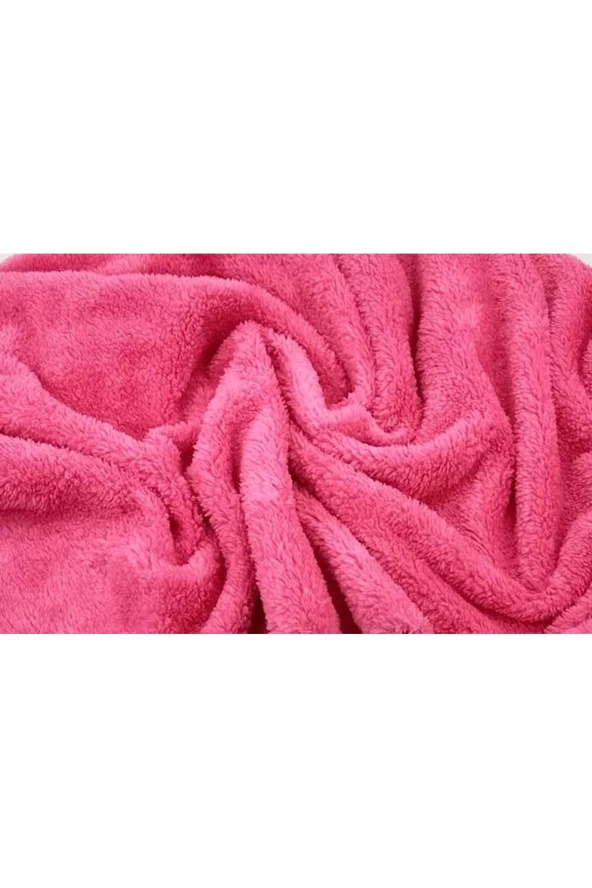 Wellsoft Kedi Köpek Battaniyesi 65 cm x 90 cm - 2