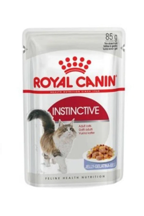 Royal Canin Cat FHN İnstinctive Jelly 85 Gr.