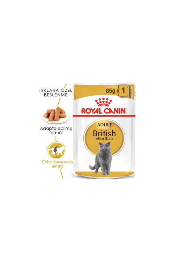 Royal Canin Cat FBN British Shorthair Kedi Konservesi 85gr