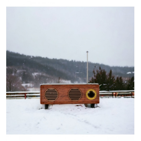 CM-1923BT DEKORATİF VE NOSTALJİK ŞARJLI FM RADYO, HANDFREE+AUX+USB VE TF CARD OKUYUCULU MP3 ÇALAR HEDİYELİK - 2