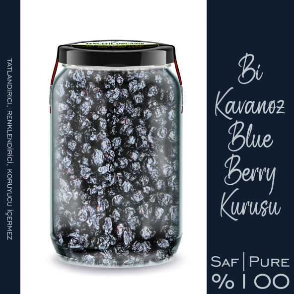 Blueberry İthal Yaban Mersini Kurusu Bi Kavanoz 660 cc. Cam Kavanozda Katkısız Pure Dried Blue Berry - 3