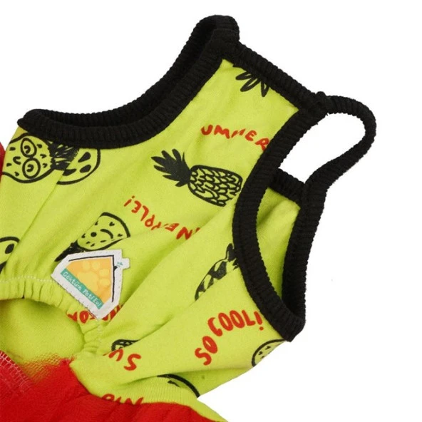 Ananas Kedi & Köpek Elbise -L - 4