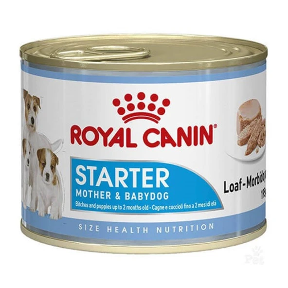 Royal Canin Starter Mousse Konserve Yavru Köpek Maması 195 Gr