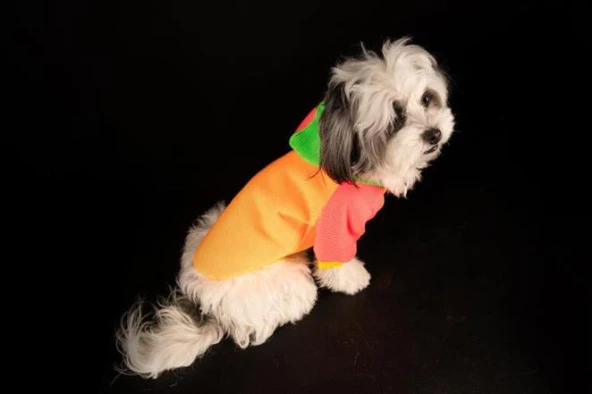 Orange Kedi & Köpek Sweatshirt-M - 5