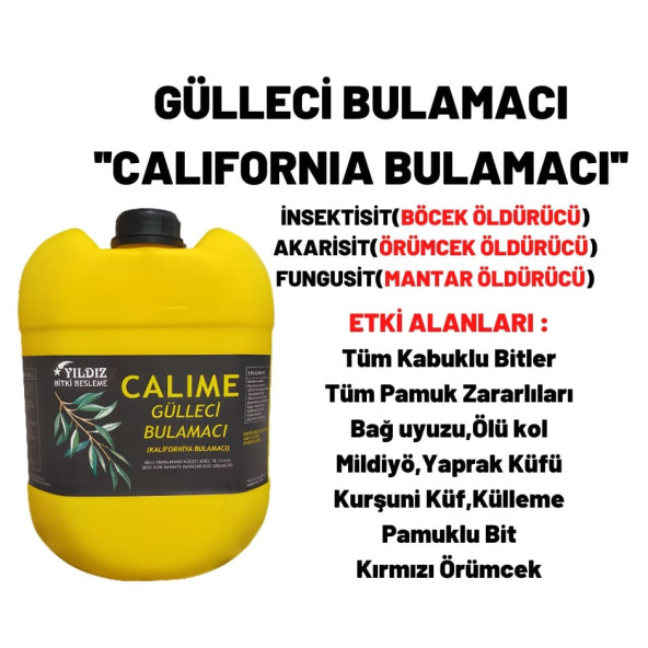 CALİME GÜLLECİ BULAMACI