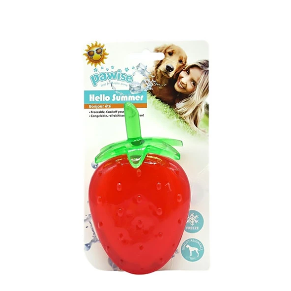 Pawise Yazlık Köpek Oyuncağı Çilek ürün görseli