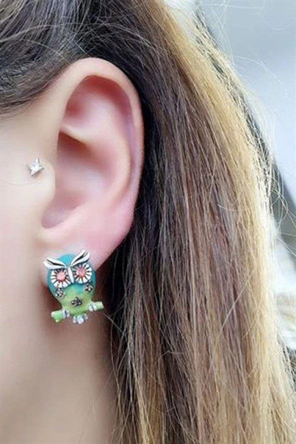 Özel Tasarım Mineli Baykuş Figürlü 925 Ayar Gümüş Küpe ürün görseli