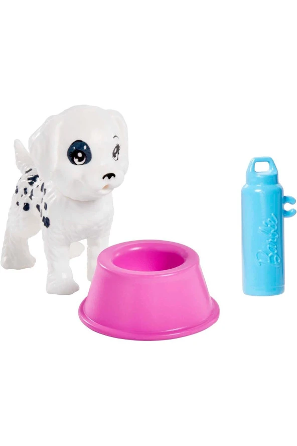 BARBİE SKIP PETSIP HKD77 - Resim 3