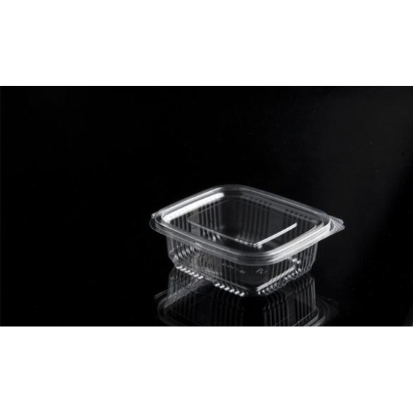 Plastik Saklama Kabı 250 gr 100'lü Kapaklı Sızdırmaz Kap Şeffaf Kullan At Kase - 3