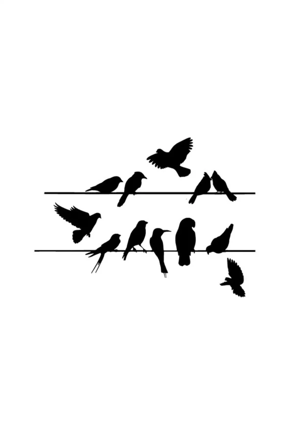 Teldeki Kuşlar - Araç, Oto, Laptop, Duvar Uyumlu Sticker 25*17 Cm