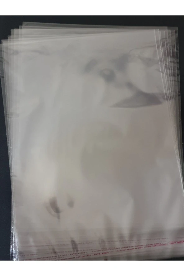 Şeffaf Yapışkanlı Poşet - Opp Kendinden Yapışkanlı Jelatin Parlak Poşet 32x45cm - 100 Adet