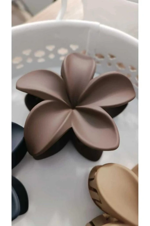 6 LI LOTUS MANDAL SAÇ TOKASI (kahve gri) PASTEL - 3