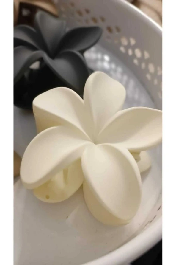 6 LI LOTUS MANDAL SAÇ TOKASI (kahve gri) PASTEL - 4