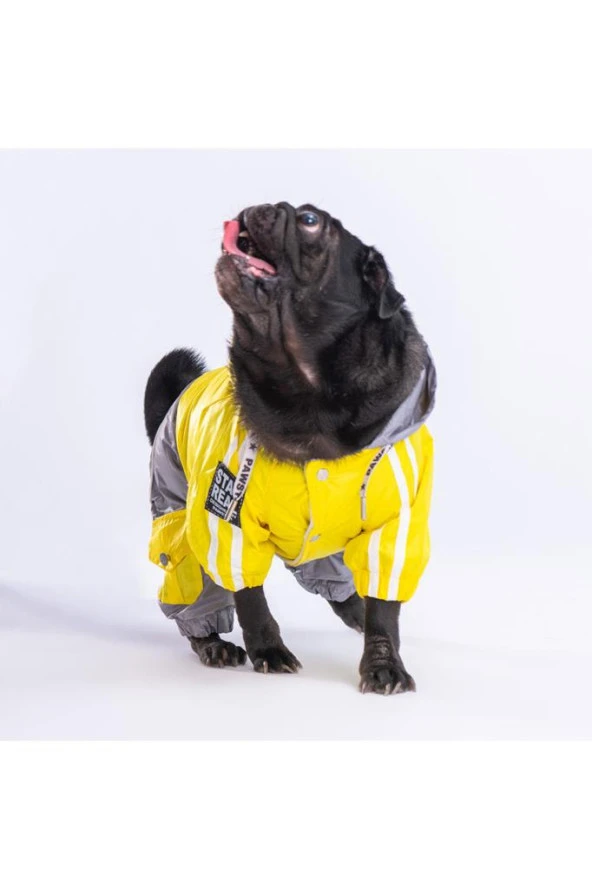 Pawstar Köpek Yellow-Grey Bicolor Rompers L Sırt33cm Göğüs46cm Boyun30cm - Resim 3