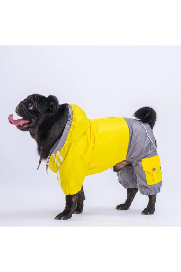 Pawstar Köpek Yellow-Grey Bicolor Rompers XL Sırt38cm Göğüs55cm Boyun34cm