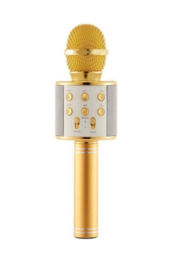 Şarj Edilebilir Telefon Ve Usb Bağlantılı Karaoke Mikrofon (Gold)