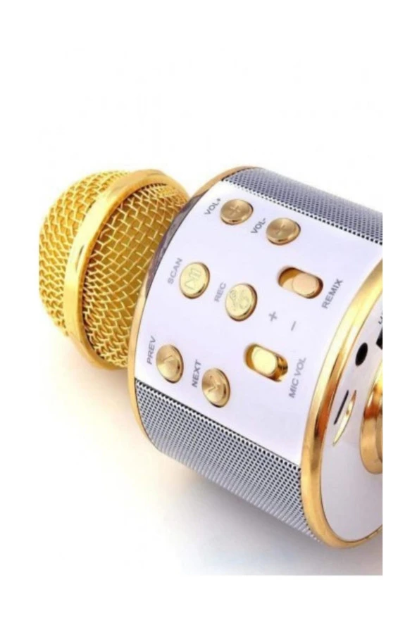 Şarj Edilebilir Telefon Ve Usb Bağlantılı Karaoke Mikrofon (Gold) - 2