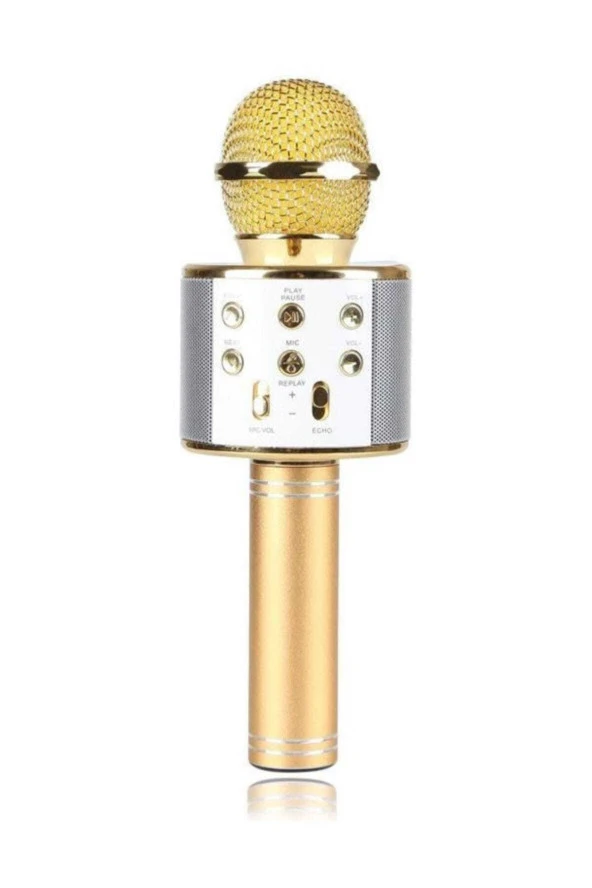 Karaoke Mikrofon Dahili Hoparlörlü USB Flash Destekli WS-858 Gold