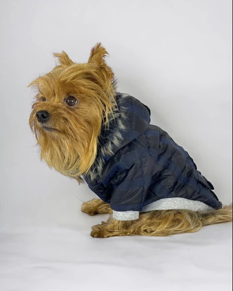 Black Navy Comfie Köpek Montu, Köpek Ceketi, Köpek Dış Giyim - 6