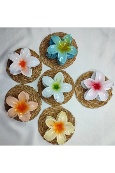 6'lı Rengarenk Lotus Çiçeği Mandal Toka 8 Cm - 3