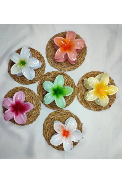 6'lı Rengarenk Lotus Çiçeği Mandal Toka 8 Cm - 4