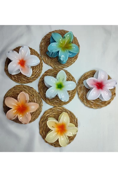 6'lı Rengarenk Lotus Çiçeği Mandal Toka 8 Cm